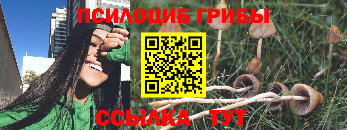 Псилоцибиновые грибы MAGIC MUSHROOMS  Вход с VPN  где купить наркоту  Алексеевка 